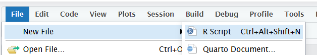 Create a new R script from the file menu